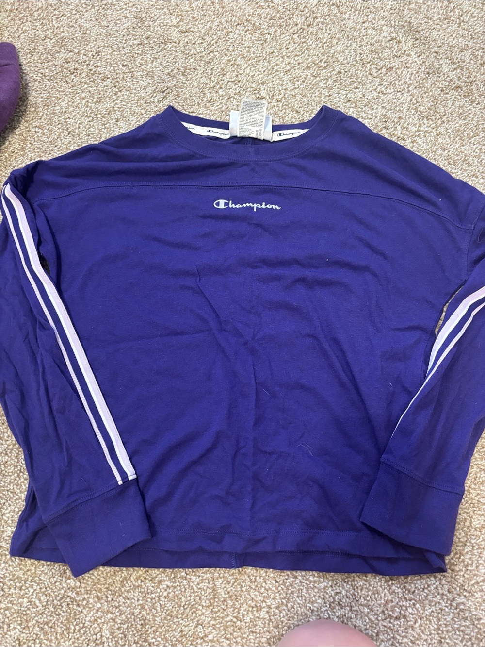 Champion Purple Long Sleeve Crewneck with Stripe Accent